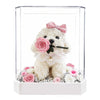 JoyFlower Preserved Flowers Cute Teddy Dog, Eternal Real Rose & Hydrangea Romantic Gift with Acrylic Cover for Girlfriend Wife Her Women on Valentine's Day, Birthday, Wedding, Anniversary, Christmas