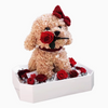 JoyFlower Preserved Flowers Cute Teddy Dog, Eternal Real Rose & Hydrangea Romantic Gift with Acrylic Cover for Girlfriend Wife Her Women on Valentine's Day, Birthday, Wedding, Anniversary, Christmas