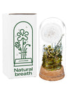 JoyFlower Preserved Dandelion in Glass Dome, Real Dandelion Eternal Flowers Gifts for Women, Preserved Flower Friendship Gifts for Girlfriend Best Friend Sisters Daughter  Birthday Graduation Gift